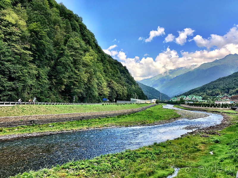 Обожаем это место!