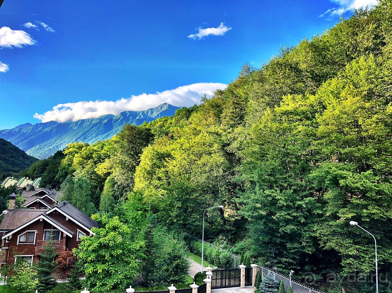 Обожаем это место!