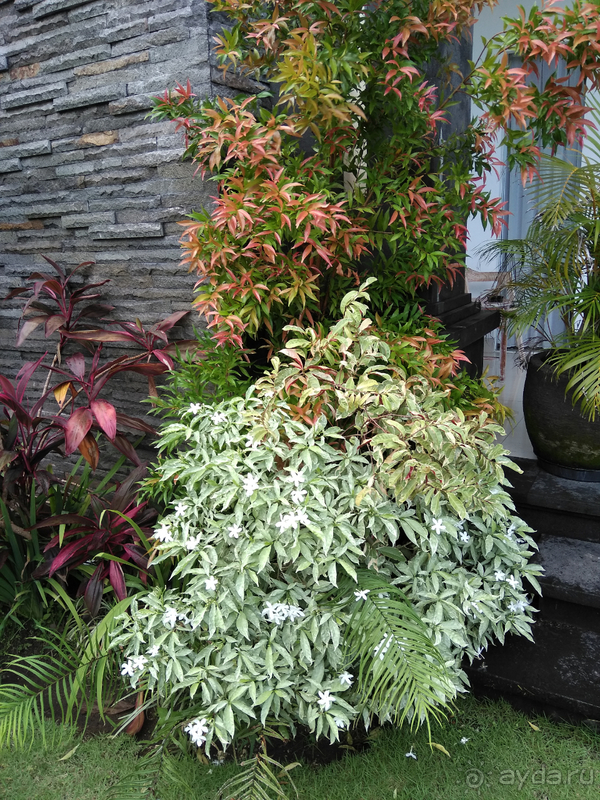 Прекрасный отель в удивительном месте