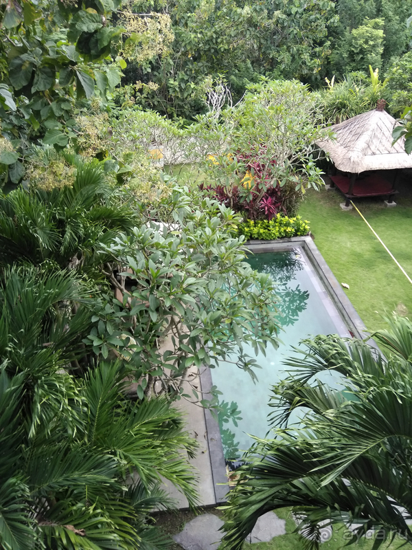 Прекрасный отель в удивительном месте