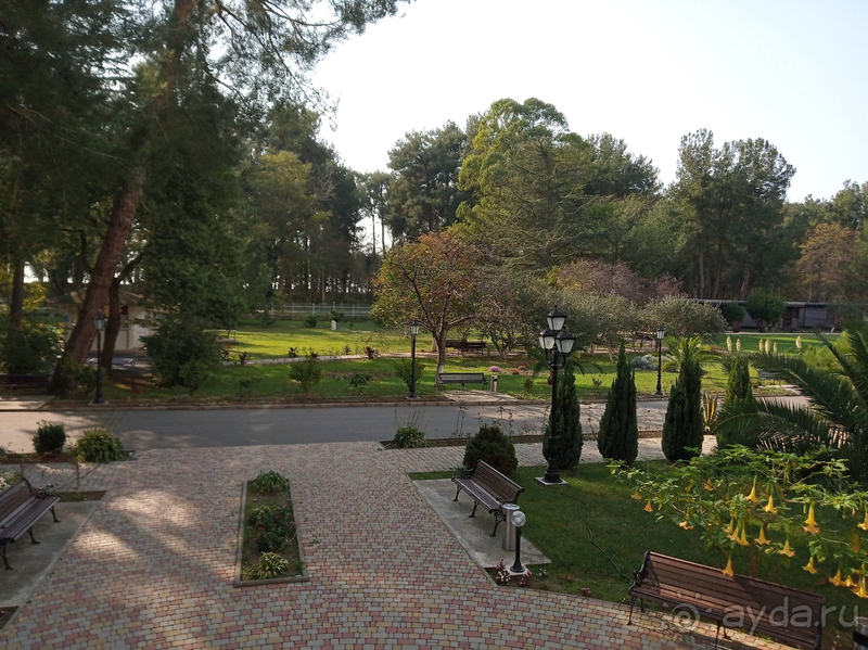 Вероятно, самый удачный отдых в Абхазии!