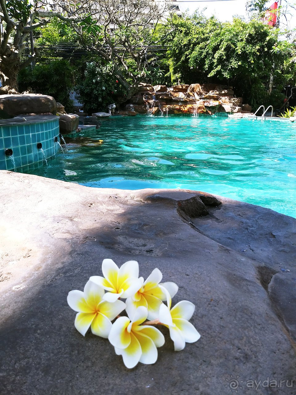 Достойный вариант размещения