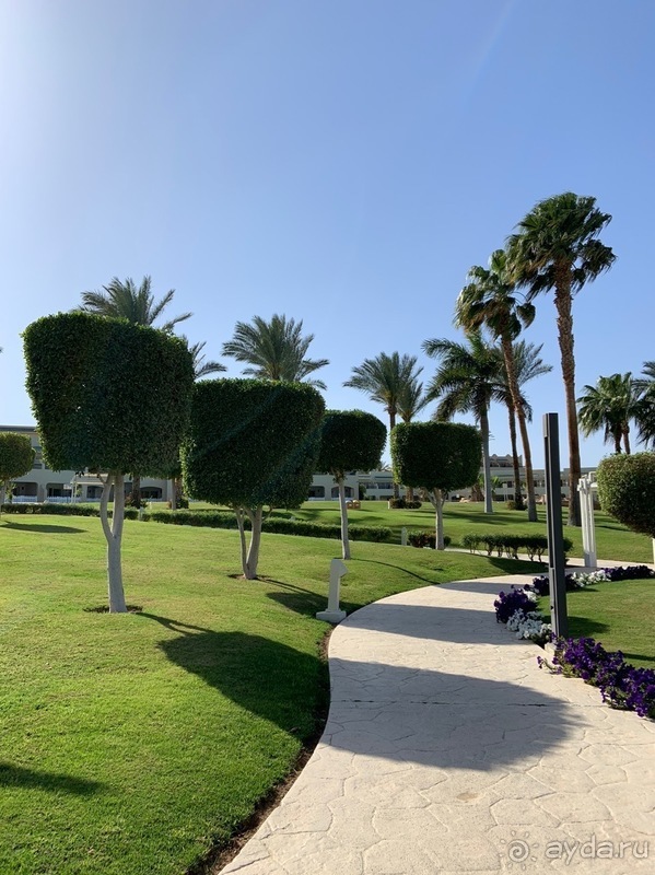 Впечатления об отеле исключительно положительные!  