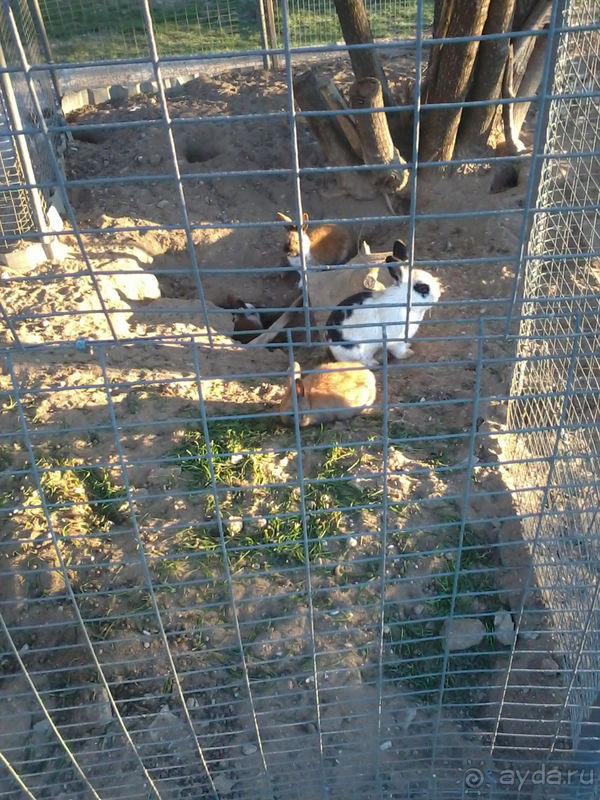 Замечательное место для оздоровления и отдыха