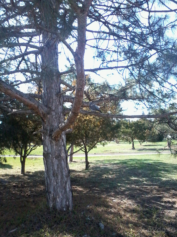 Замечательное место для оздоровления и отдыха