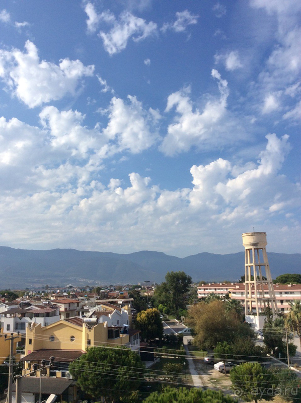 фото Grand Belish