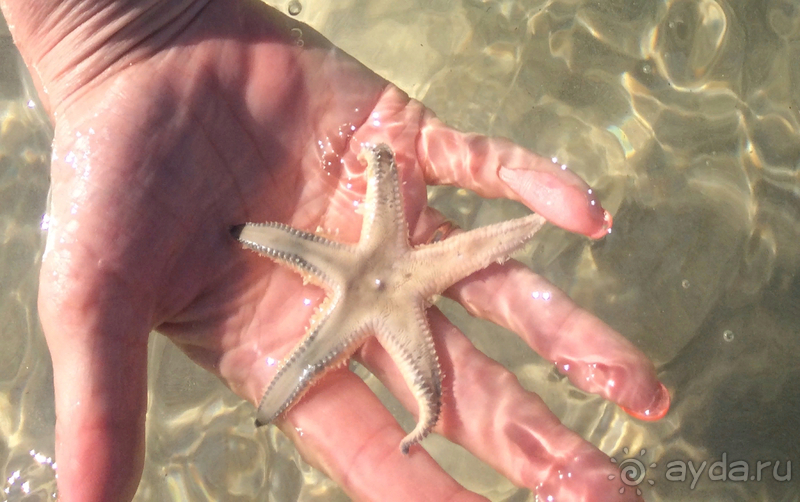 И немного о талассо...