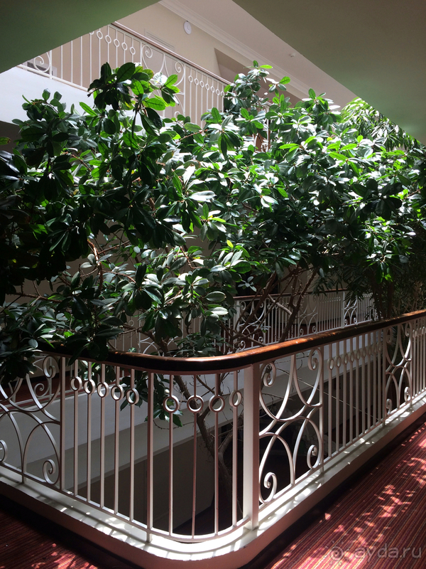 фото Royal Thalassa Monastir