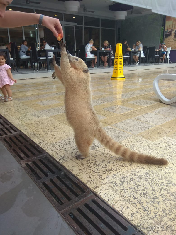 Если есть на свете рай....