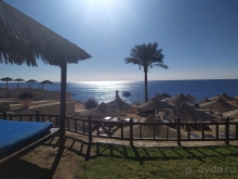 Однообразное питание