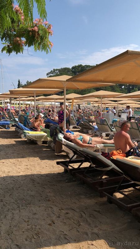 Viking star hotel на 5* не тянет(