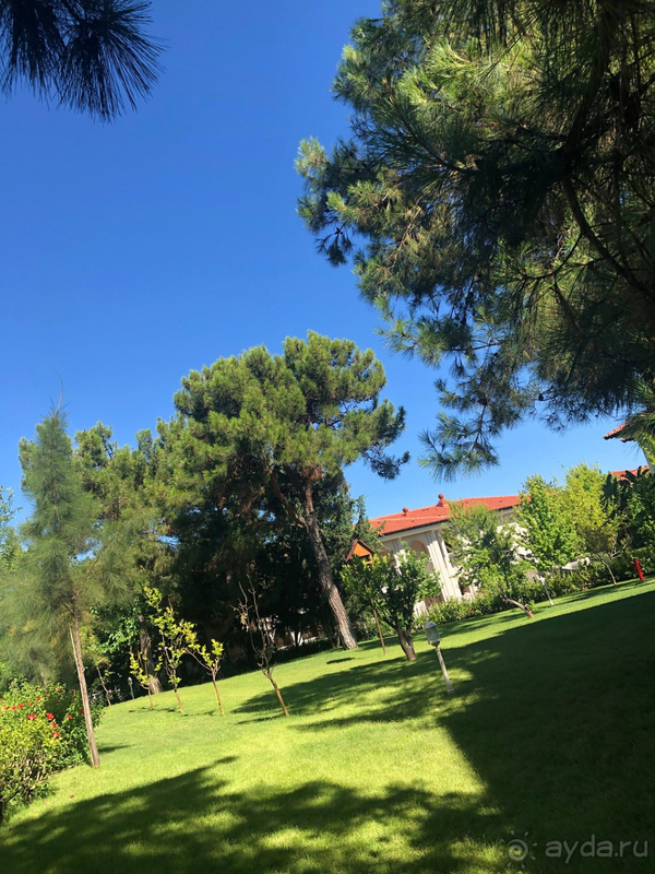 Спасибо Gural за потрясающий отдых!