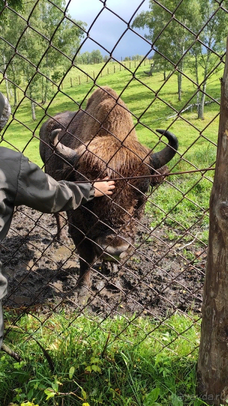 Путешествие по Горному Алтаю