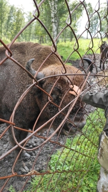 Путешествие по Горному Алтаю