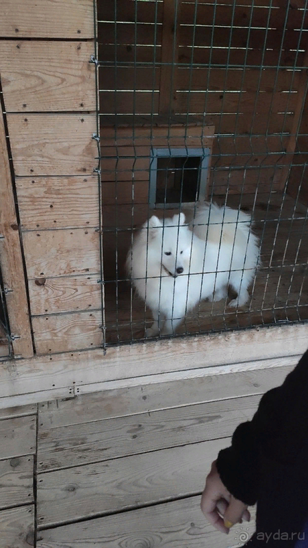 Путешествие по Горному Алтаю