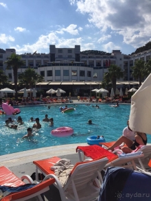 Не понравился