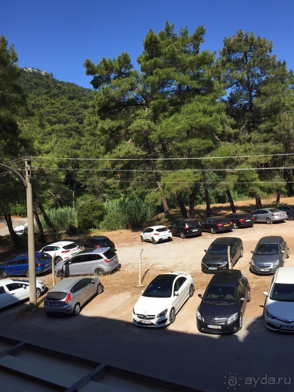 Не понравился