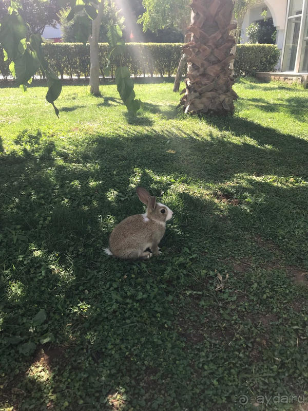 Не понравился