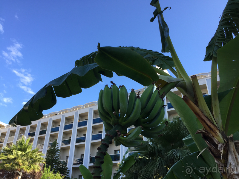 Отличный майский отдых в Green Nature Resort & Spa.