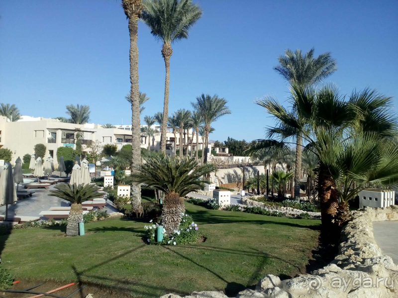 Отдых на один раз