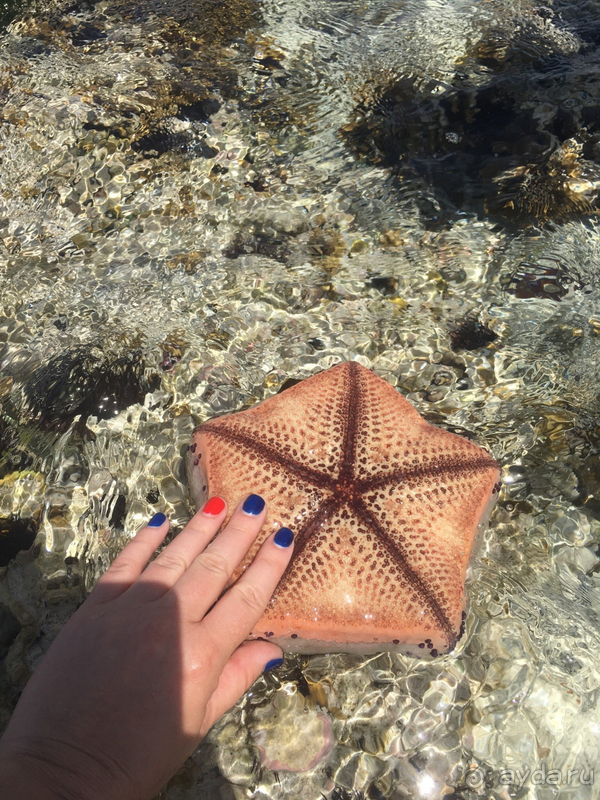 Нам понравилось!