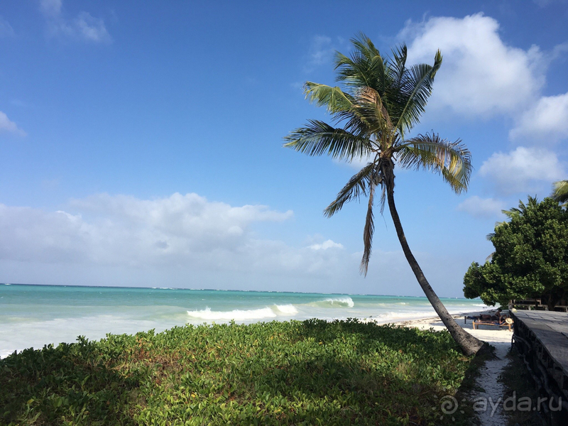 Нам понравилось!