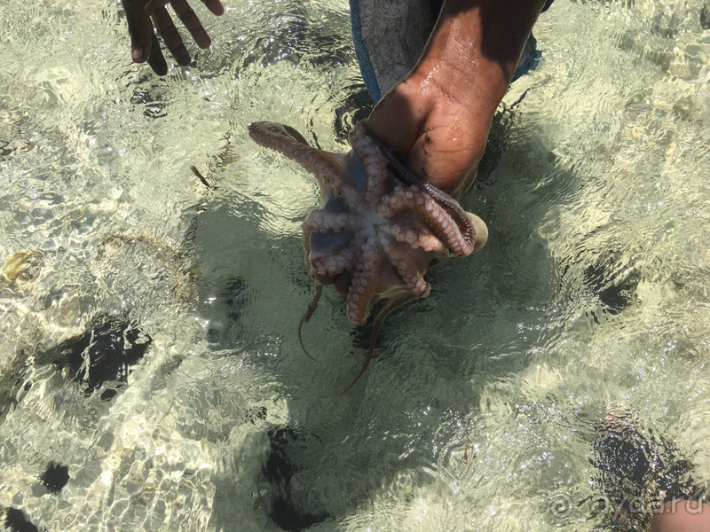 Нам понравилось!