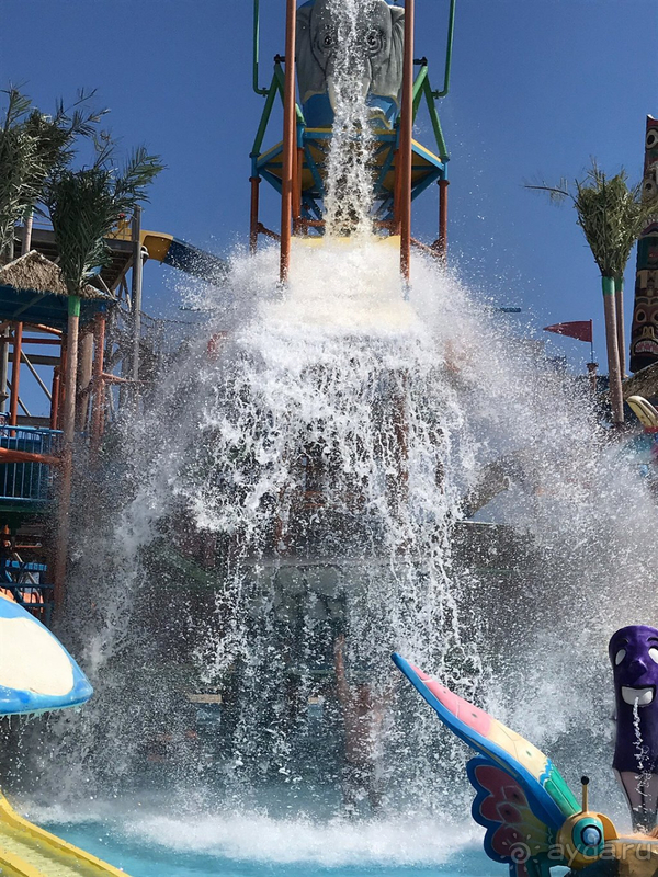 Рано пока лететь в Египет, не готовы они еще...