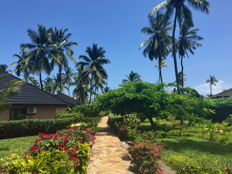 Африканские каникулы в лучшем отеле 