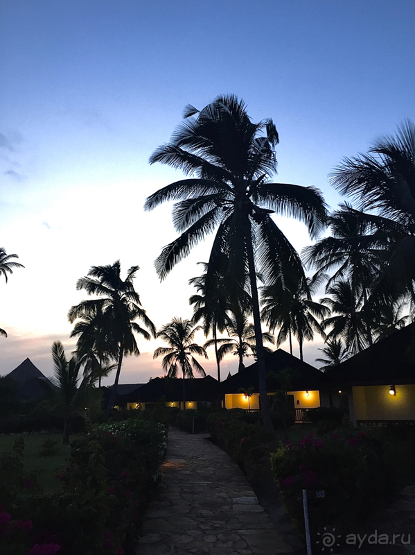 Африканские каникулы в лучшем отеле 