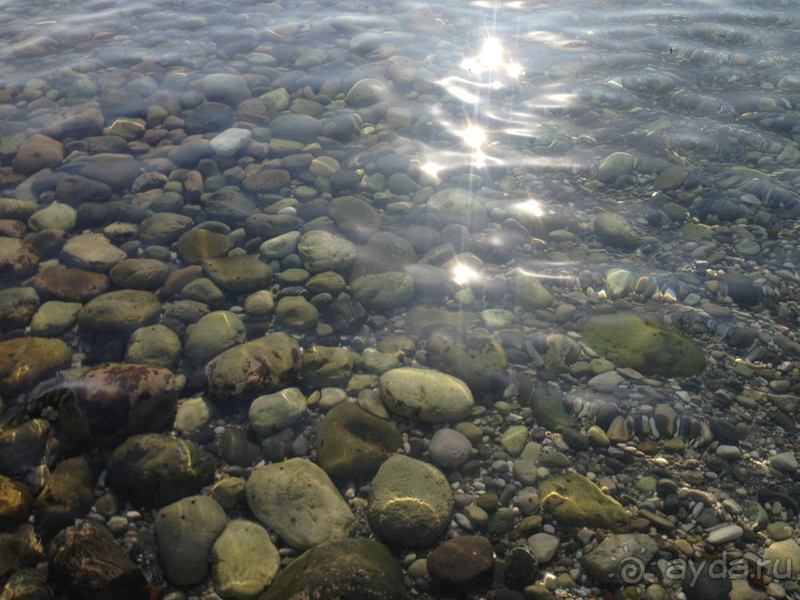 Хороший семейный отдых