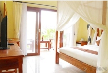 Сказка в джунглях