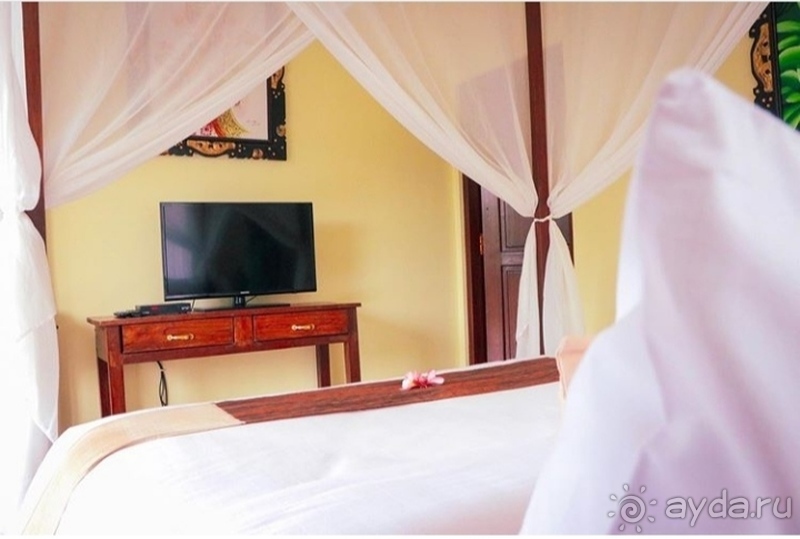 Сказка в джунглях