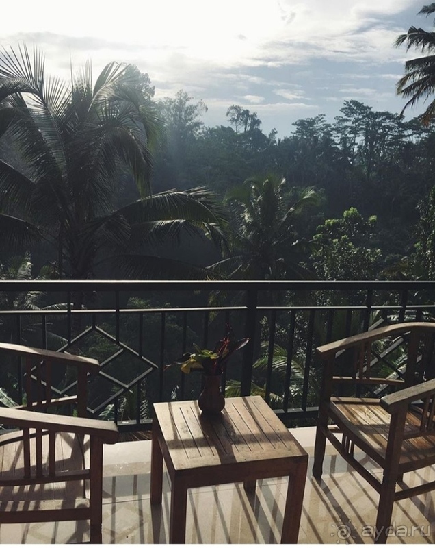 Сказка в джунглях