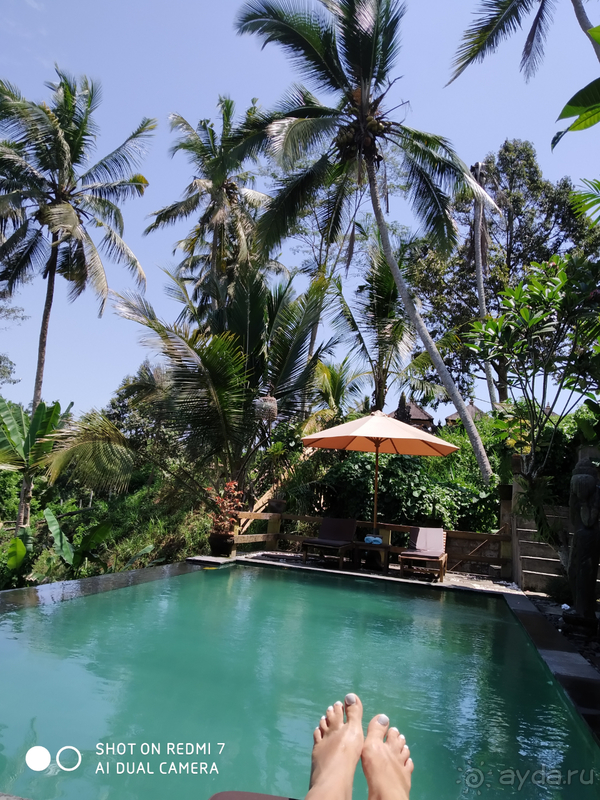 Сказка в джунглях