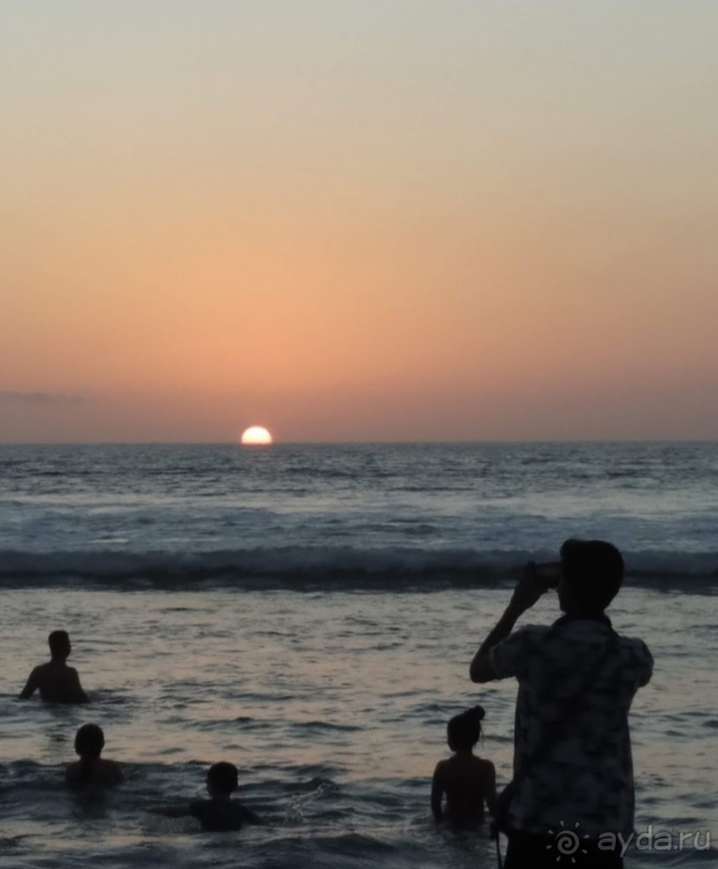 Шумная Кута