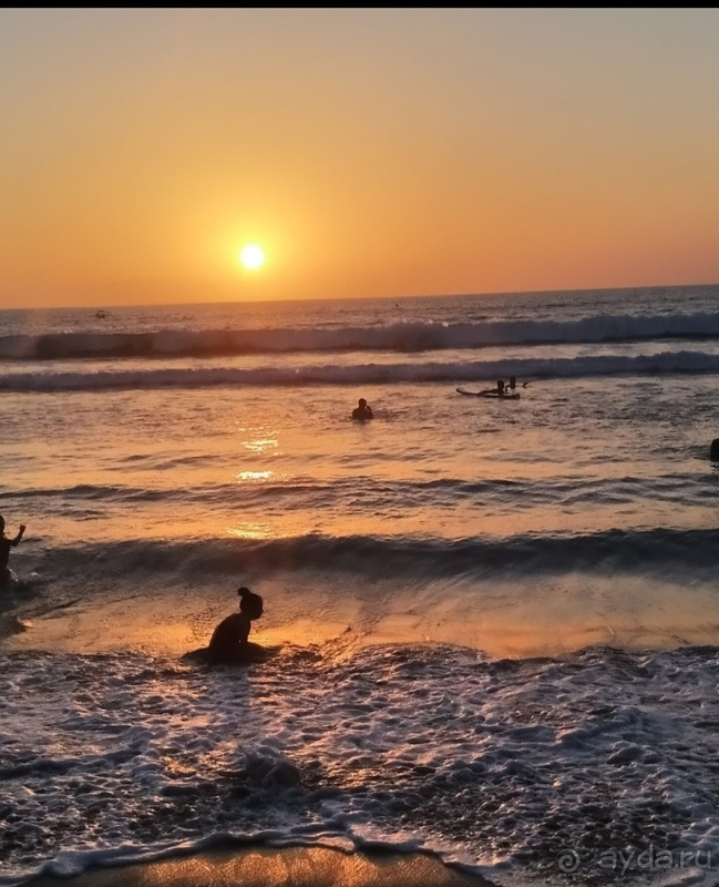 Шумная Кута