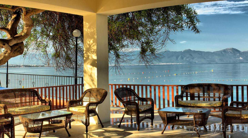 Отдых в кипарисовом лесу