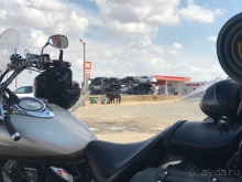 Мотопутешествие по Северному Кавказу. Калмыкия и немного Дагестана.