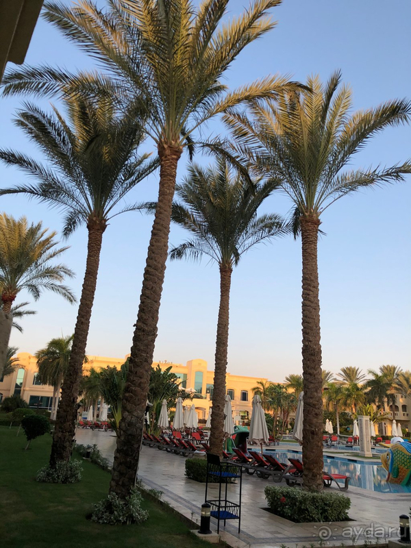 Честный отзыв об отеле Rixos Sharm El Sheikh