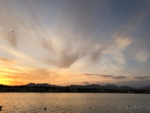 Честный отзыв об отеле Rixos Sharm El Sheikh