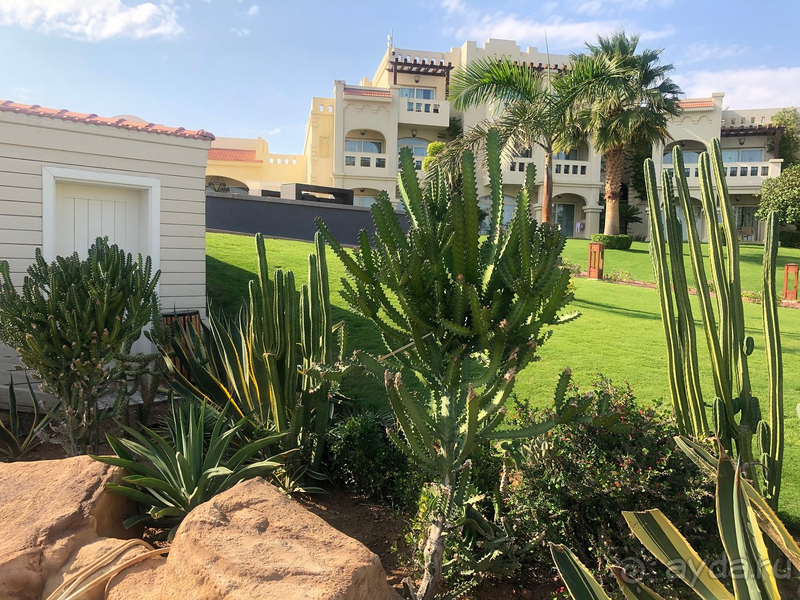 Честный отзыв об отеле Rixos Sharm El Sheikh