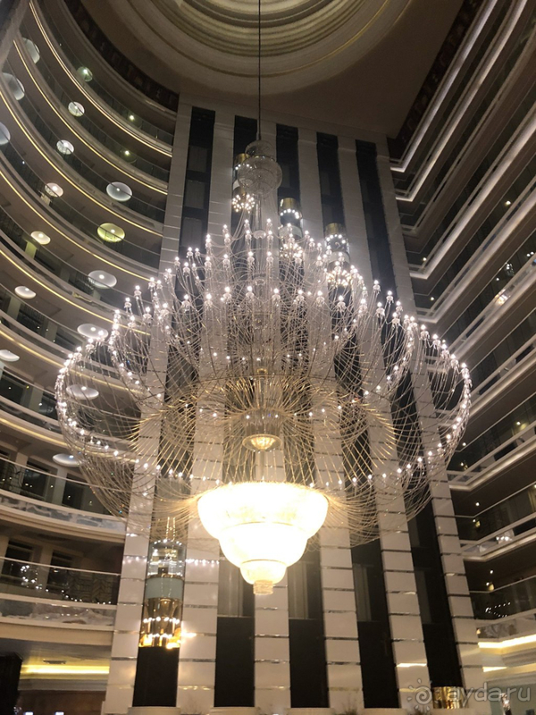 Сеть дельфинов всегда радует