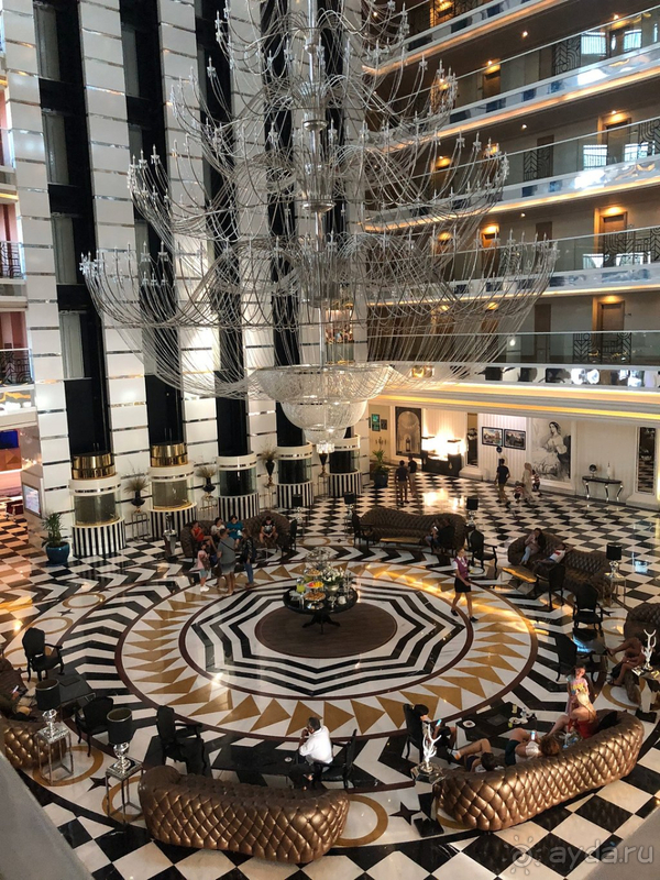 Сеть дельфинов всегда радует