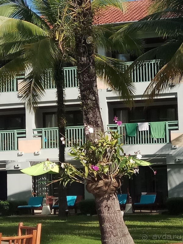 Рай для двоих