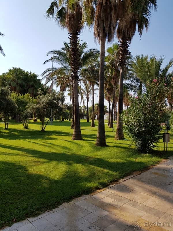 Бюджетная пятерка.