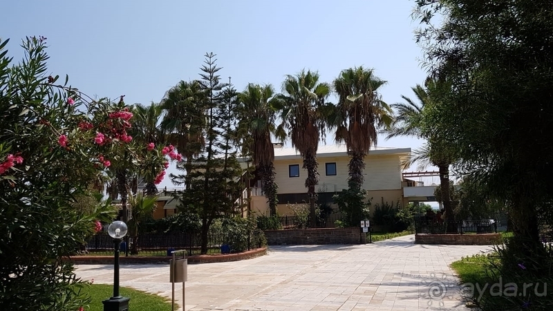 фото Sural Hotel