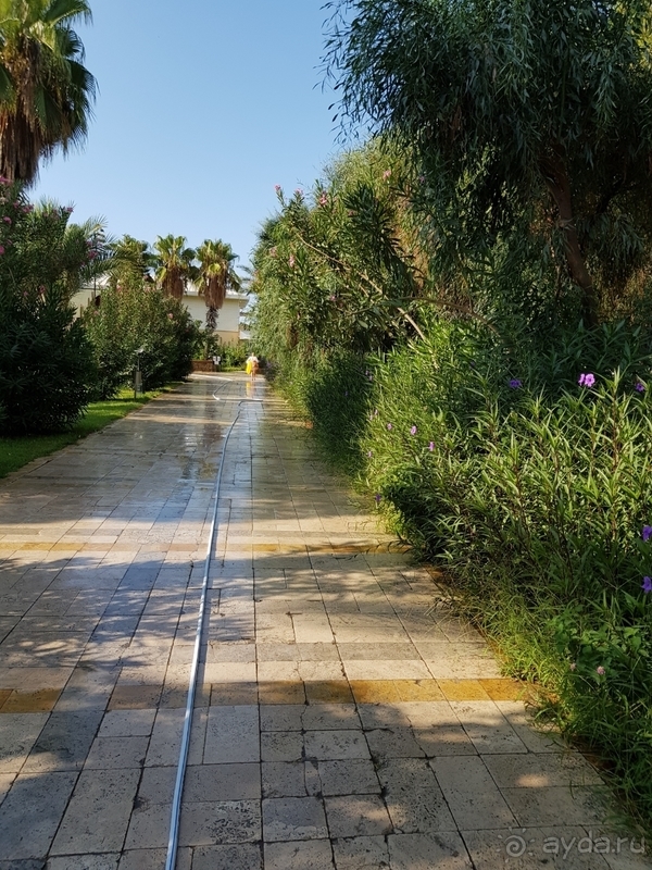 Бюджетная пятерка.