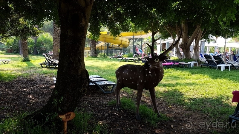 Бюджетная пятерка.