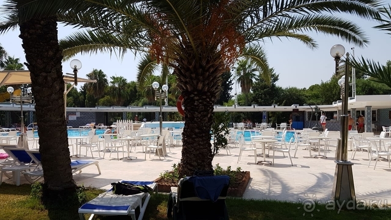 Бюджетная пятерка.